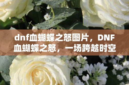 dnf血蝴蝶之怒图片，DNF血蝴蝶之怒，一场跨越时空的冒险
