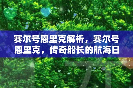 赛尔号恩里克解析,赛尔号恩里克,传奇船长的航海日志 赛尔号恩里克解析,赛尔号恩里克,传奇船长的航海日志