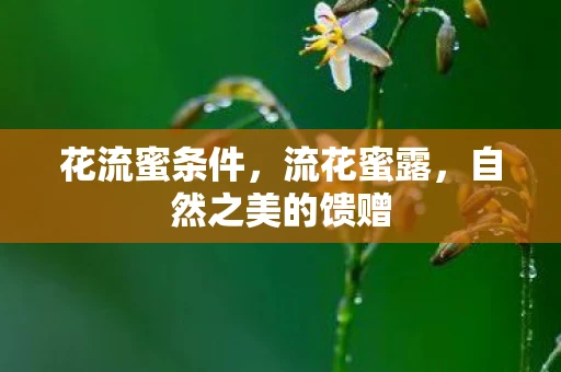 花流蜜条件，流花蜜露，自然之美的馈赠