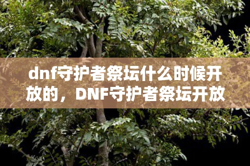 dnf守护者祭坛什么时候开放的，DNF守护者祭坛开放时间揭秘，神秘仪式即将开启！