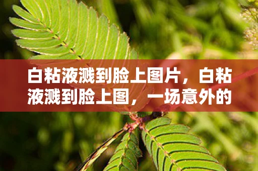 白粘液溅到脸上图片，白粘液溅到脸上图，一场意外的科普实验