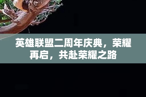 英雄联盟二周年庆典图片