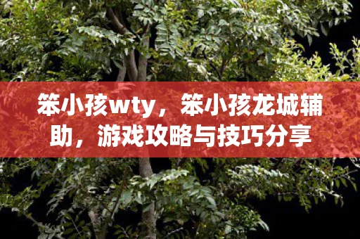 笨小孩wty，笨小孩龙城辅助，游戏攻略与技巧分享