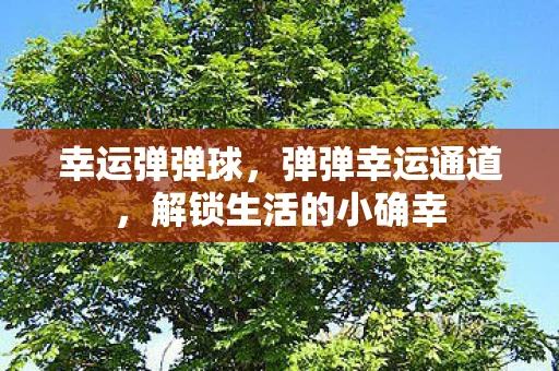幸运弹弹球，弹弹幸运通道，解锁生活的小确幸