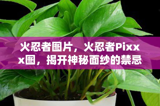 火忍者图片，火忍者Pixxx图，揭开神秘面纱的禁忌艺术