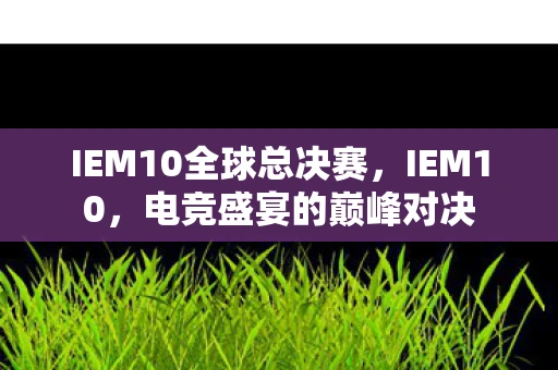 IEM10全球总决赛，IEM10，电竞盛宴的巅峰对决