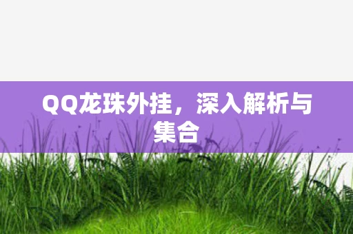 深入解析与集合图片