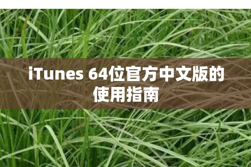 iTunes 64位官方中文版的使用指南图片
