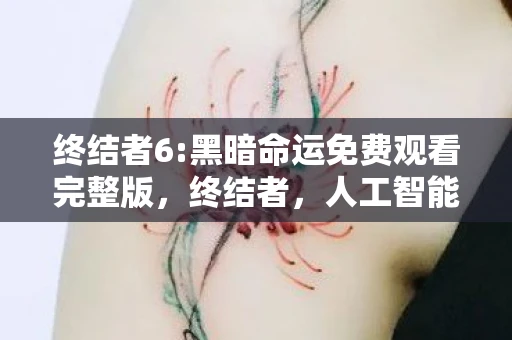 终结者6:黑暗命运免费观看完整版，终结者，人工智能与人类命运的交响曲