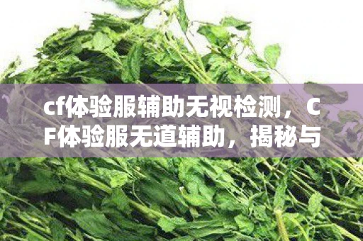 cf体验服辅助无视检测，CF体验服无道辅助，揭秘与反思