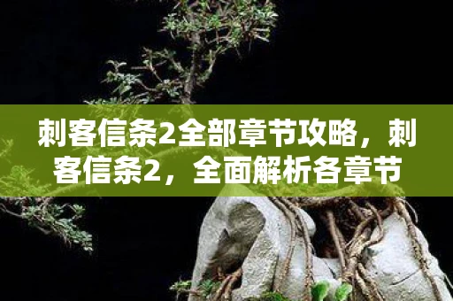刺客信条2全部章节攻略，刺客信条2，全面解析各章节剧情与彩蛋