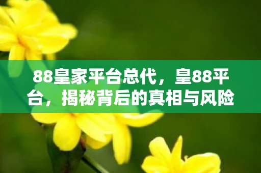 88皇家平台总代,皇88平台,揭秘背后的真相与风险 88皇家平台总代,皇88平台,揭秘背后的真相与风险