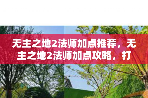 无主之地2法师加点推荐，无主之地2法师加点攻略，打造强大的魔法师