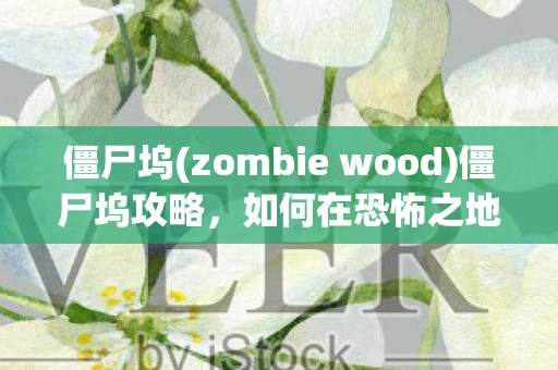 僵尸坞(zombie wood)僵尸坞攻略,如何在恐怖之地生存并找到宝藏 僵尸坞(zombie wood)僵尸坞攻略,如何在恐怖之地生存并找到宝藏