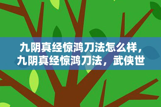 九阴真经惊鸿刀法怎么样，九阴真经惊鸿刀法，武侠世界中的绝世刀法