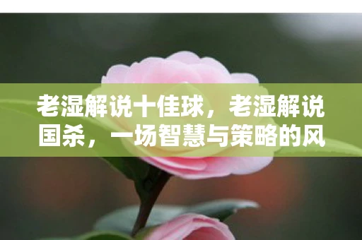 老湿解说十佳球，老湿解说国杀，一场智慧与策略的风暴