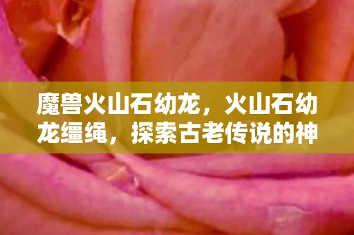 魔兽火山石幼龙，火山石幼龙缰绳，探索古老传说的神秘宝藏