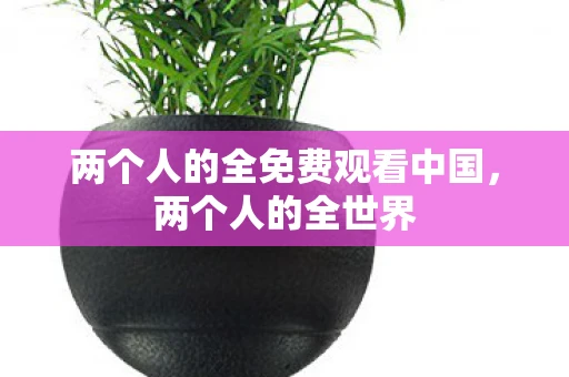 两个人的全免费观看中国，两个人的全世界