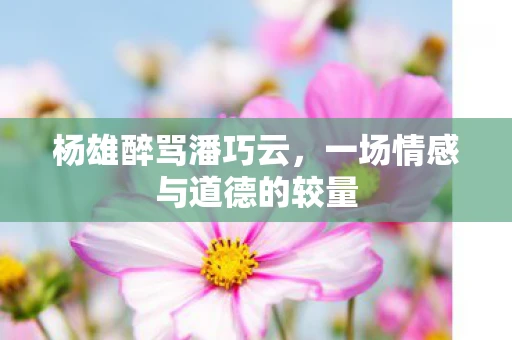 杨雄醉骂潘巧云，一场情感与道德的较量