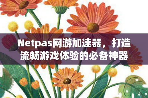 Netpas网游加速器,打造流畅游戏体验的必备神器 Netpas网游加速器,打造流畅游戏体验的必备神器
