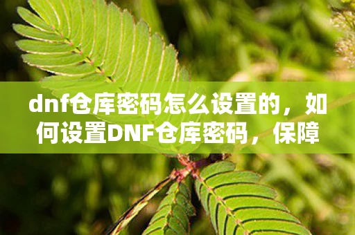 dnf仓库密码怎么设置的，如何设置DNF仓库密码，保障账号安全