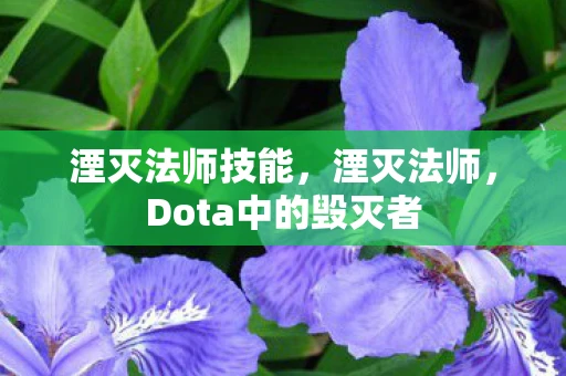 湮灭法师技能,湮灭法师,Dota中的毁灭者 湮灭法师技能,湮灭法师,Dota中的毁灭者