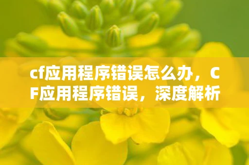 cf应用程序错误怎么办，CF应用程序错误，深度解析与解决方案