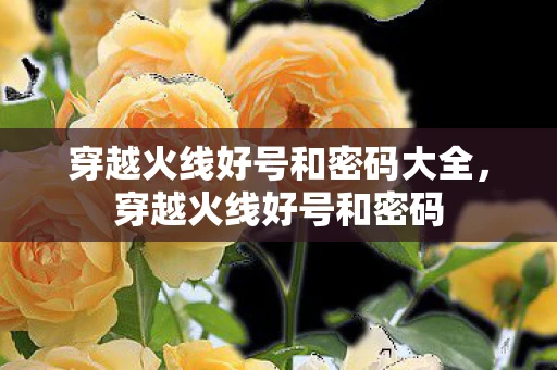 穿越火线好号和密码大全,穿越火线好号和密码 穿越火线好号和密码大全,穿越火线好号和密码