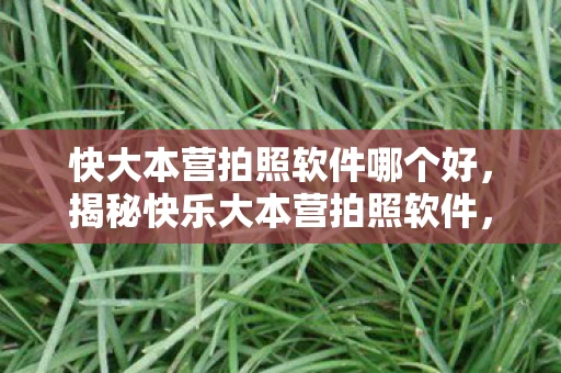 快大本营拍照软件哪个好,揭秘快乐大本营拍照软件,如何成为综艺节目的自拍达人 快大本营拍照软件哪个好,揭秘快乐大本营拍照软件,如何成为综艺节目的自拍达人