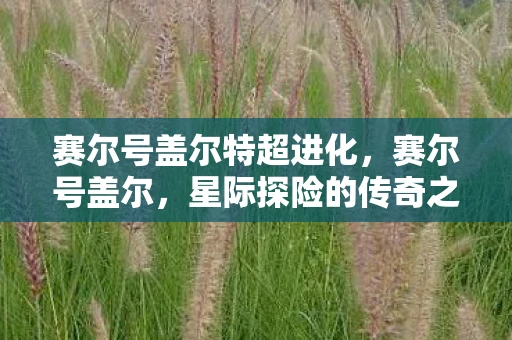 赛尔号盖尔特超进化,赛尔号盖尔,星际探险的传奇之旅 赛尔号盖尔特超进化,赛尔号盖尔,星际探险的传奇之旅