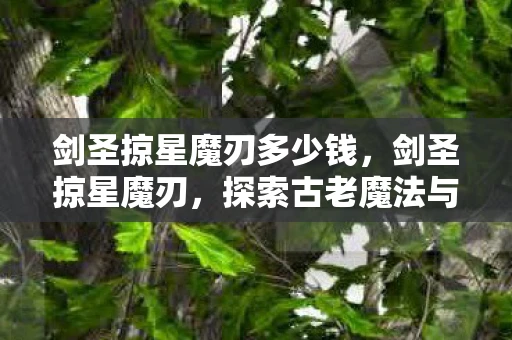 剑圣掠星魔刃多少钱，剑圣掠星魔刃，探索古老魔法与剑术的奥秘