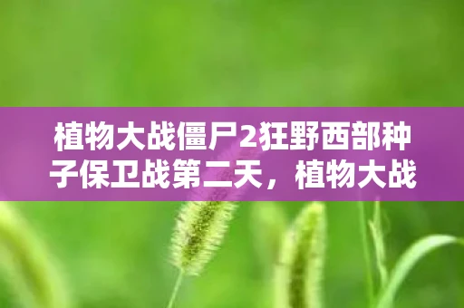 植物大战僵尸2狂野西部种子保卫战第二天，植物大战僵尸2，狂野西部种子保卫战第二战