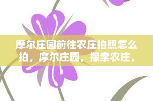摩尔庄园前往农庄拍照怎么拍,摩尔庄园,探索农庄,记录美好瞬间 摩尔庄园前往农庄拍照怎么拍,摩尔庄园,探索农庄,记录美好瞬间