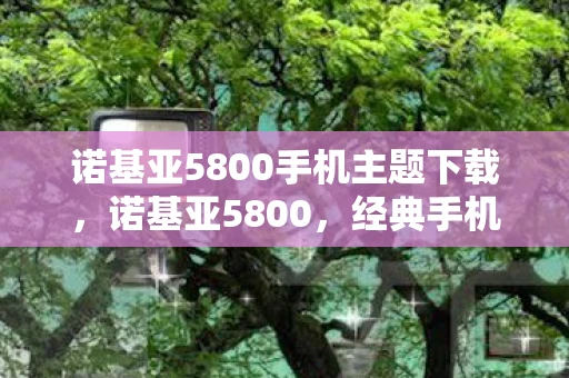 诺基亚5800手机主题下载，诺基亚5800，经典手机主题的回忆与传承