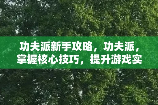 功夫派新手攻略，功夫派，掌握核心技巧，提升游戏实力