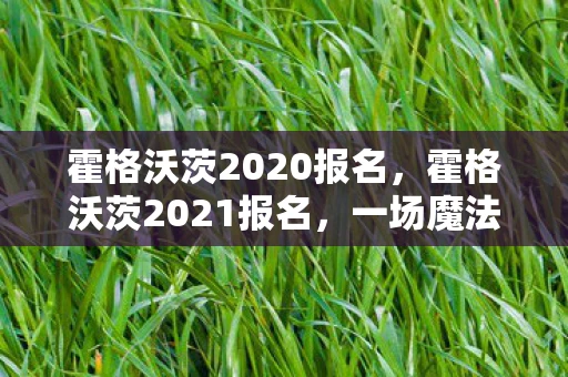 霍格沃茨2020报名,霍格沃茨2021报名,一场魔法与梦想的盛宴 霍格沃茨2020报名,霍格沃茨2021报名,一场魔法与梦想的盛宴