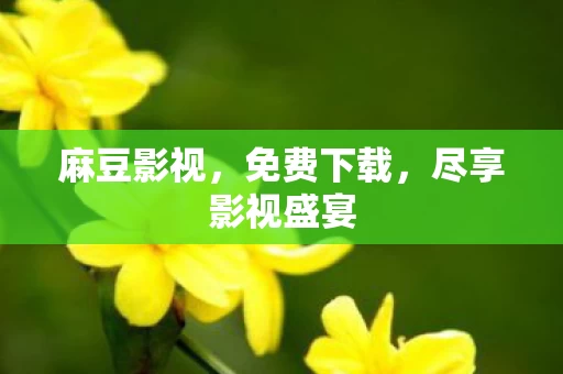 尽享影视盛宴图片
