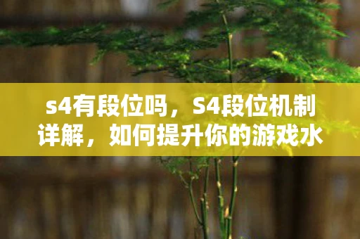 s4有段位吗，S4段位机制详解，如何提升你的游戏水平
