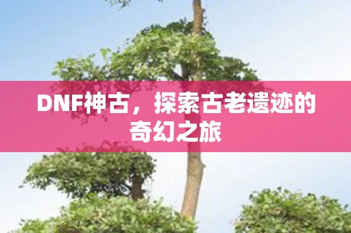 DNF神古,探索古老遗迹的奇幻之旅 DNF神古,探索古老遗迹的奇幻之旅