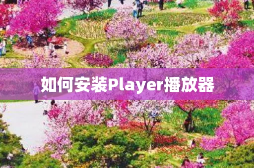 如何安装Player播放器图片