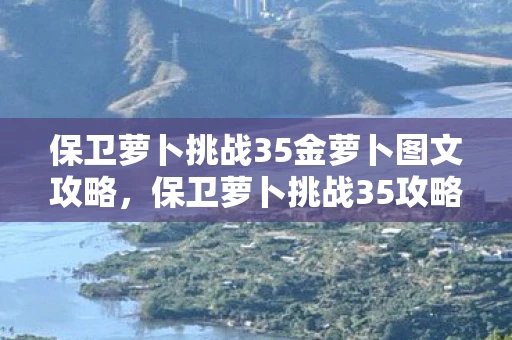 保卫萝卜挑战35金萝卜图文攻略,保卫萝卜挑战35攻略,金萝卜布阵图详解 保卫萝卜挑战35金萝卜图文攻略,保卫萝卜挑战35攻略,金萝卜布阵图详解