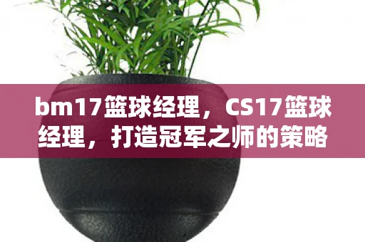 bm17篮球经理，CS17篮球经理，打造冠军之师的策略与智慧