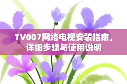 TV007网络电视安装指南图片