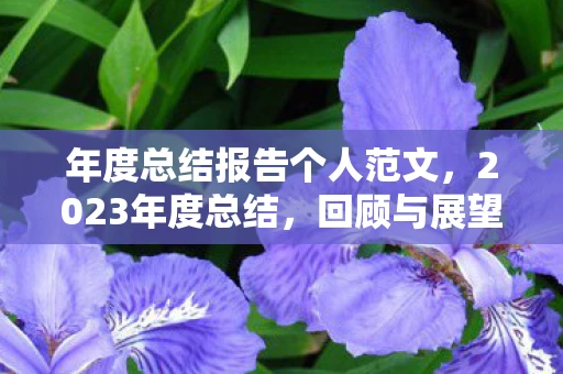 年度总结报告个人范文，2023年度总结，回顾与展望