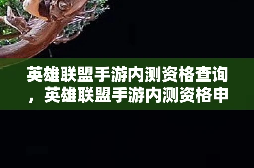 英雄联盟手游内测资格查询,英雄联盟手游内测资格申请全攻略 英雄联盟手游内测资格查询,英雄联盟手游内测资格申请全攻略