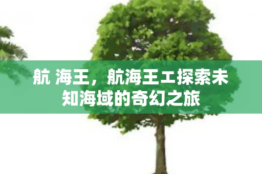 航 海王,航海王エ探索未知海域的奇幻之旅 航 海王,航海王エ探索未知海域的奇幻之旅