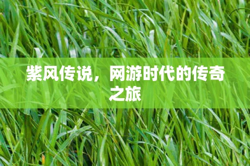 网游时代的传奇之旅图片