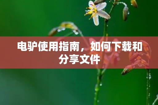 如何下载和分享文件图片