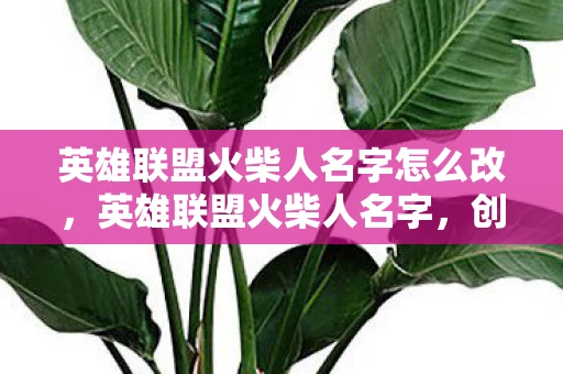 英雄联盟火柴人名字怎么改，英雄联盟火柴人名字，创意与个性的碰撞