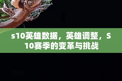 s10英雄数据，英雄调整，S10赛季的变革与挑战